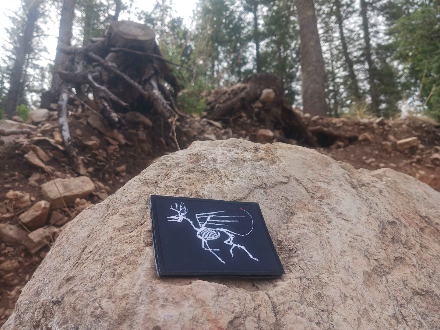 Chimera Group x Chief&Co - Limited Series